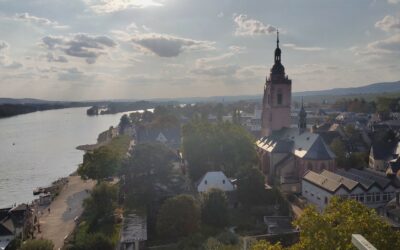 Baumpaten gesucht: Umweltzukunft Rheingau möchte kleine Allee in Eltville wiederbeleben