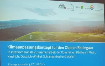 Integriertes Klimaanpassungskonzept
