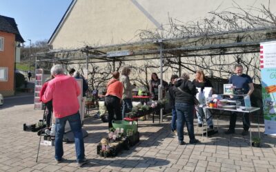 Erfolgreiche Premiere der Samen- und Pflanzenbörse in Erbach